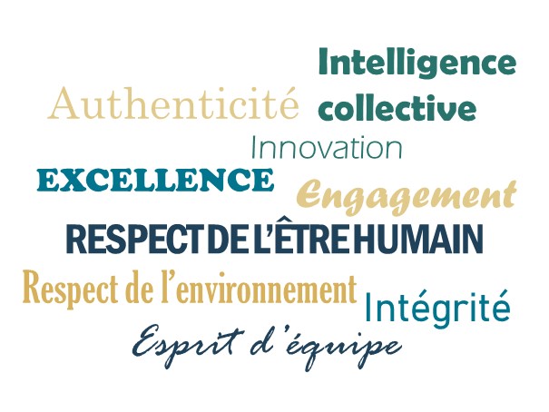 Nos valeurs Illustration qui représente nos valeurs : authenticité, intelligence collective, innovation, excellence, engagement, respect de l'être humain, respect de l'environnement, intégrité, esprit d'équipe